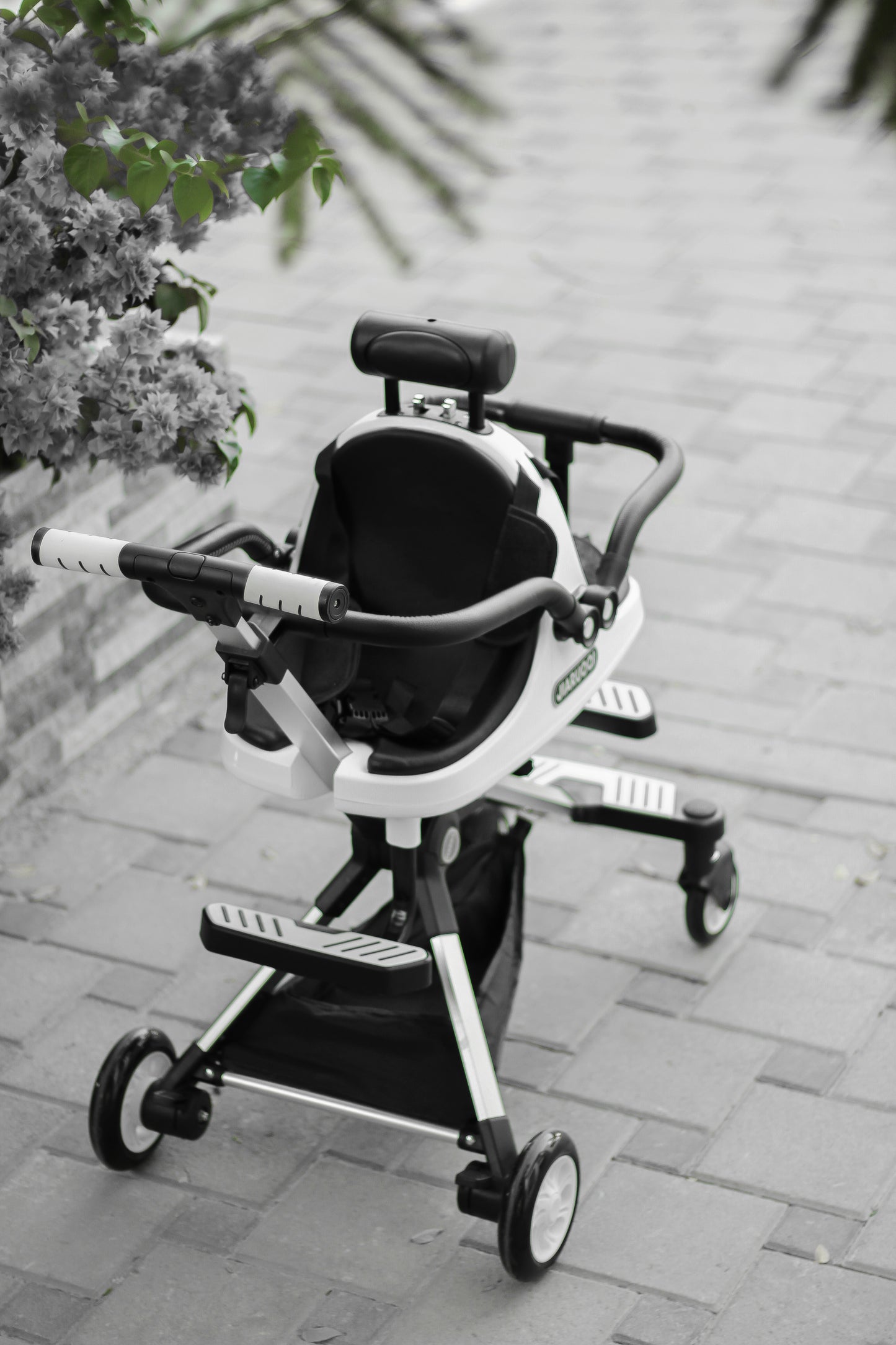 Double-sides Stroller